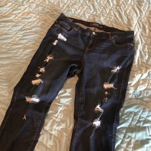Torrid Skinny Jeans